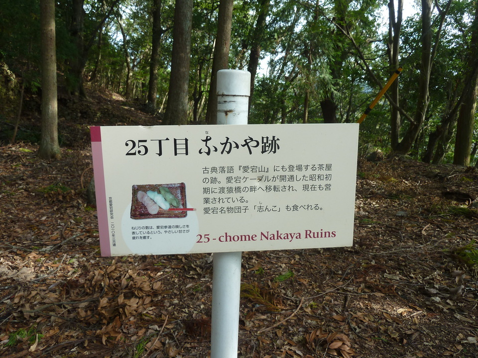 P1170415_mid.jpg