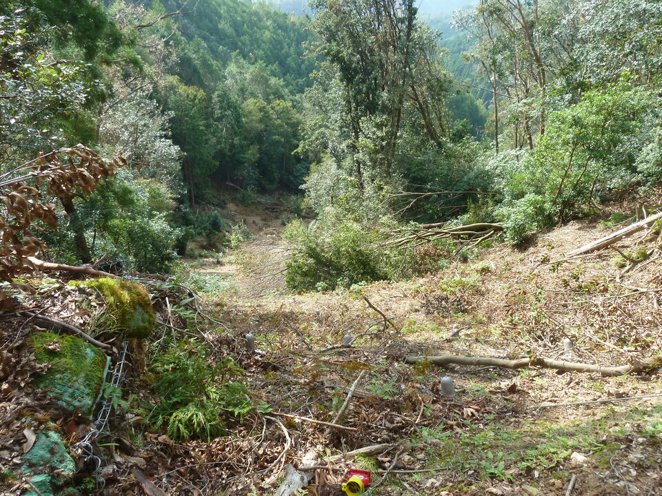P1170426_mid.jpg