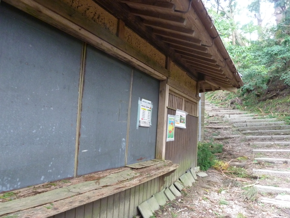 P1170446_mid.jpg