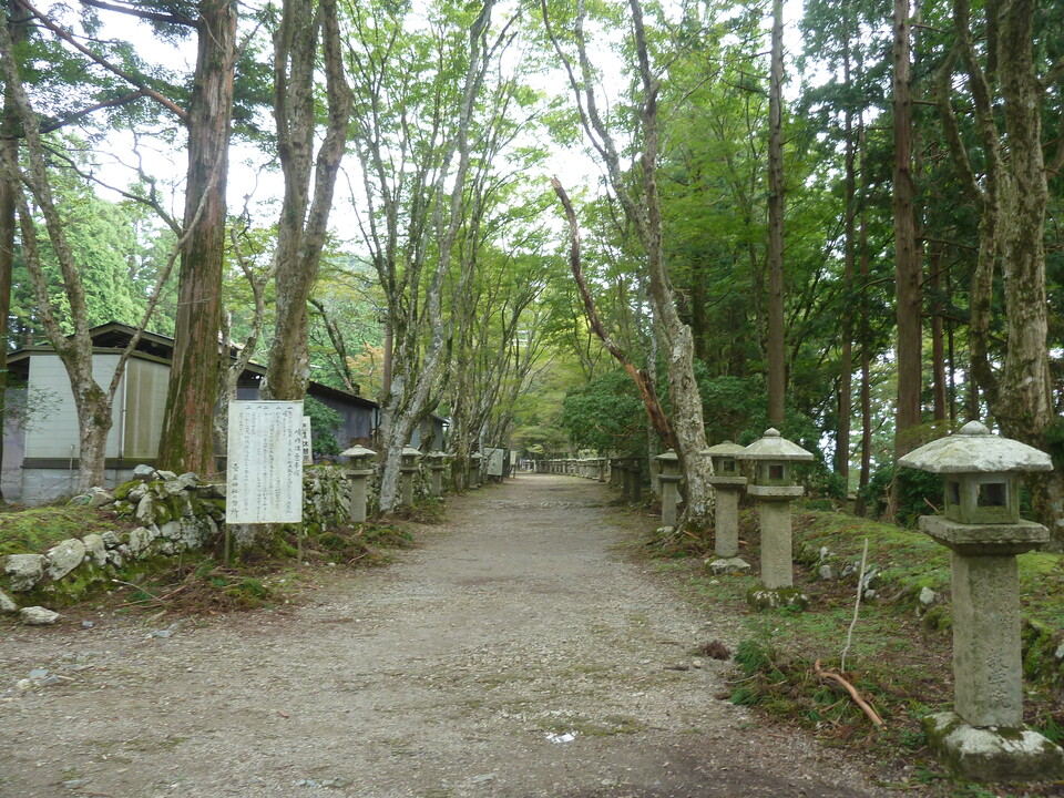 P1170454_mid.jpg