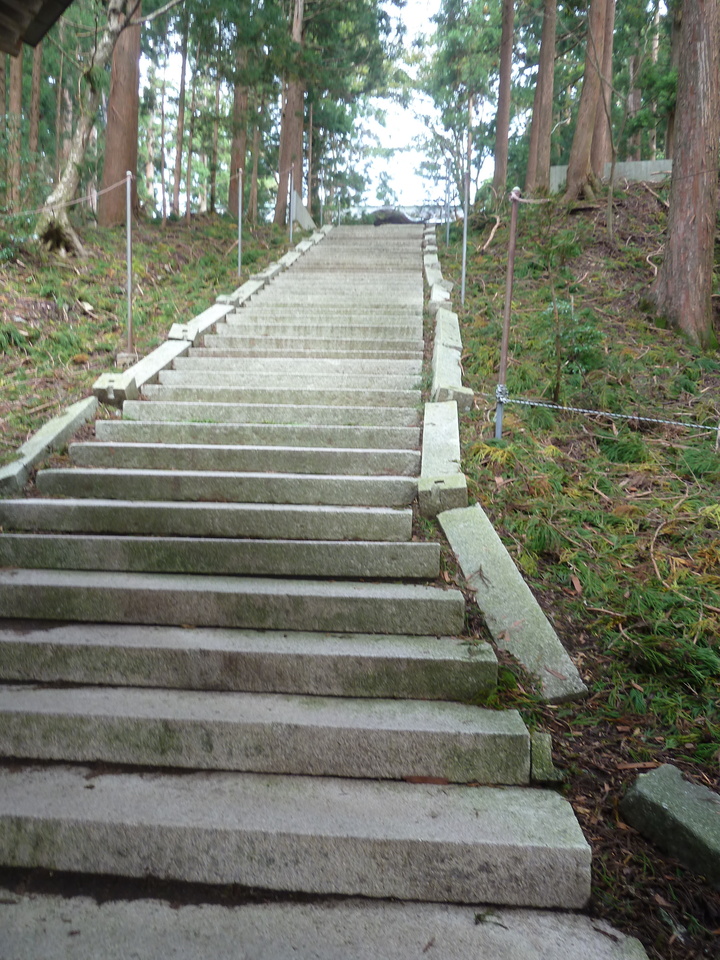 P1170461_mid.jpg