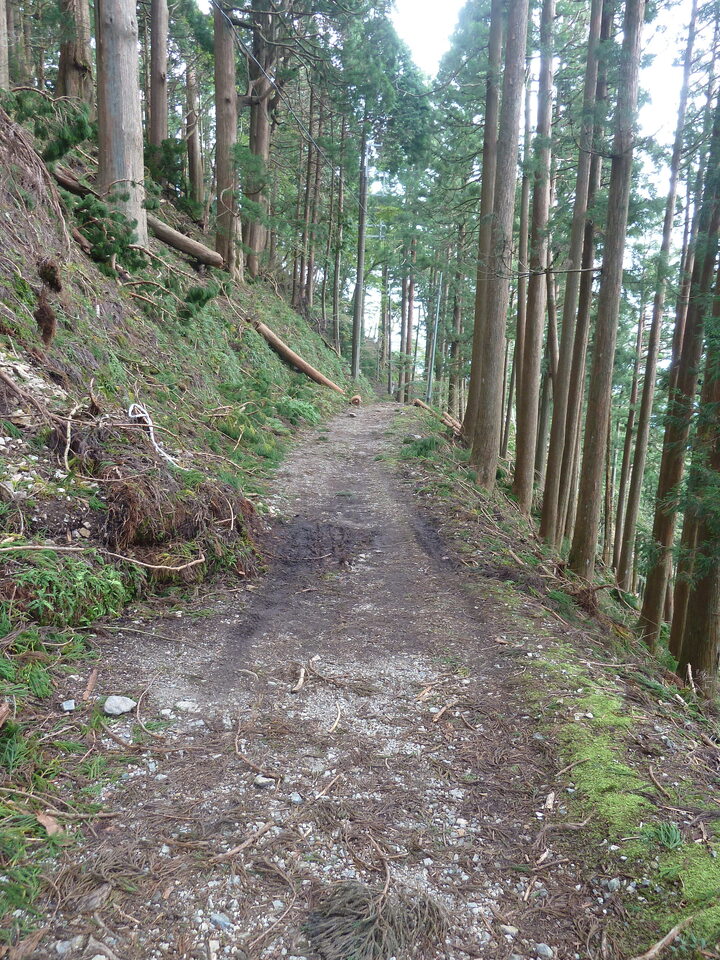 P1170467_mid.jpg