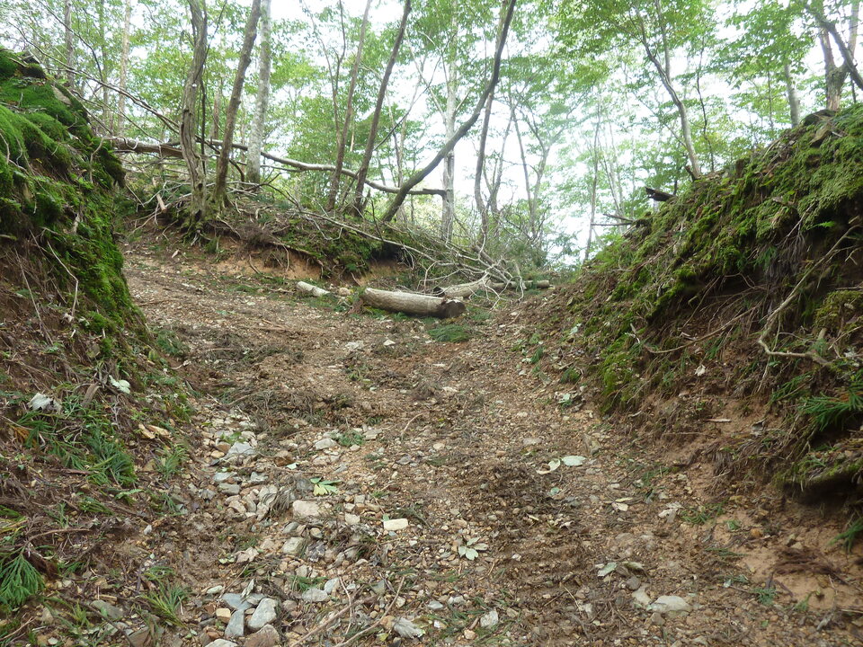 P1170482_mid.jpg