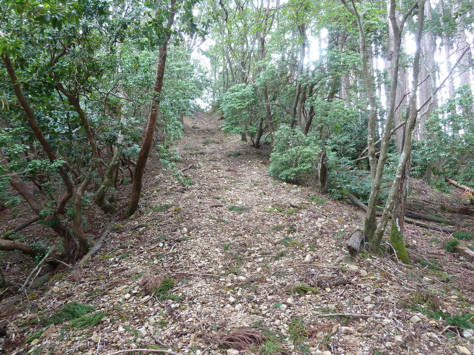 P1170485_mid.jpg
