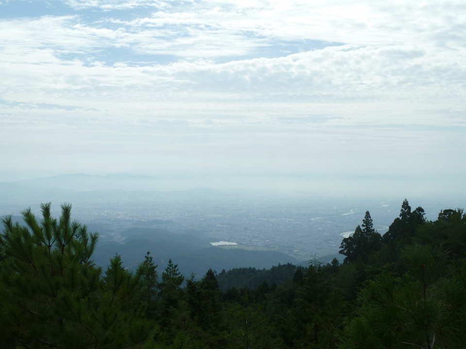 P1170498_mid.jpg
