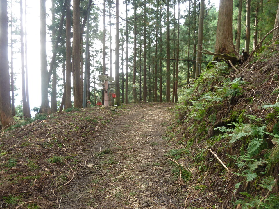 P1170502_mid.jpg