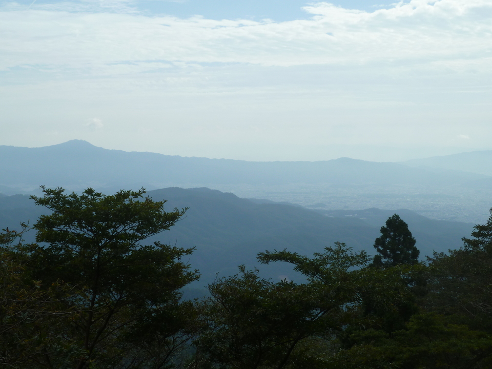 P1170505_mid.jpg