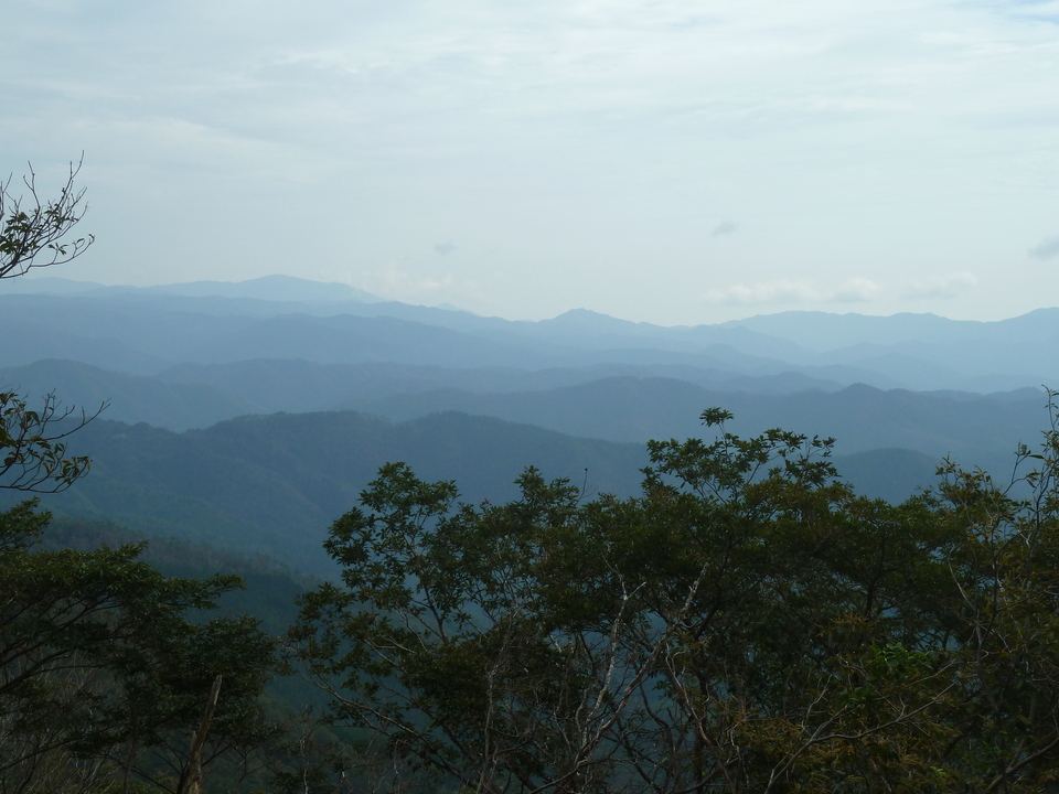 P1170507_mid.jpg