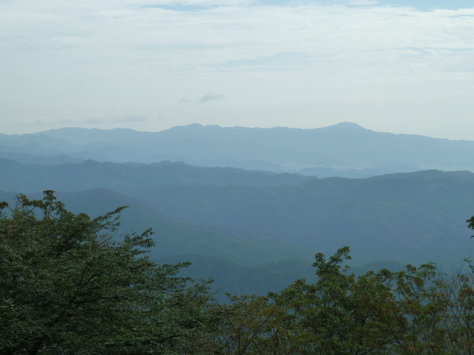 P1170509_mid.jpg