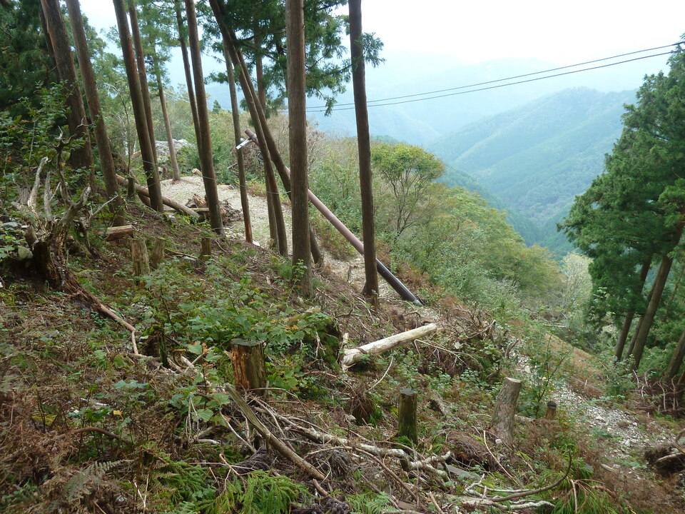 P1170510_mid.jpg
