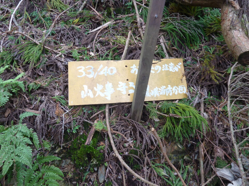 P1170528_mid.jpg