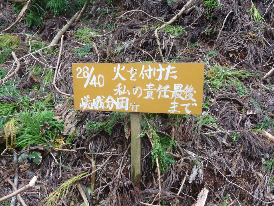 P1170534_mid.jpg