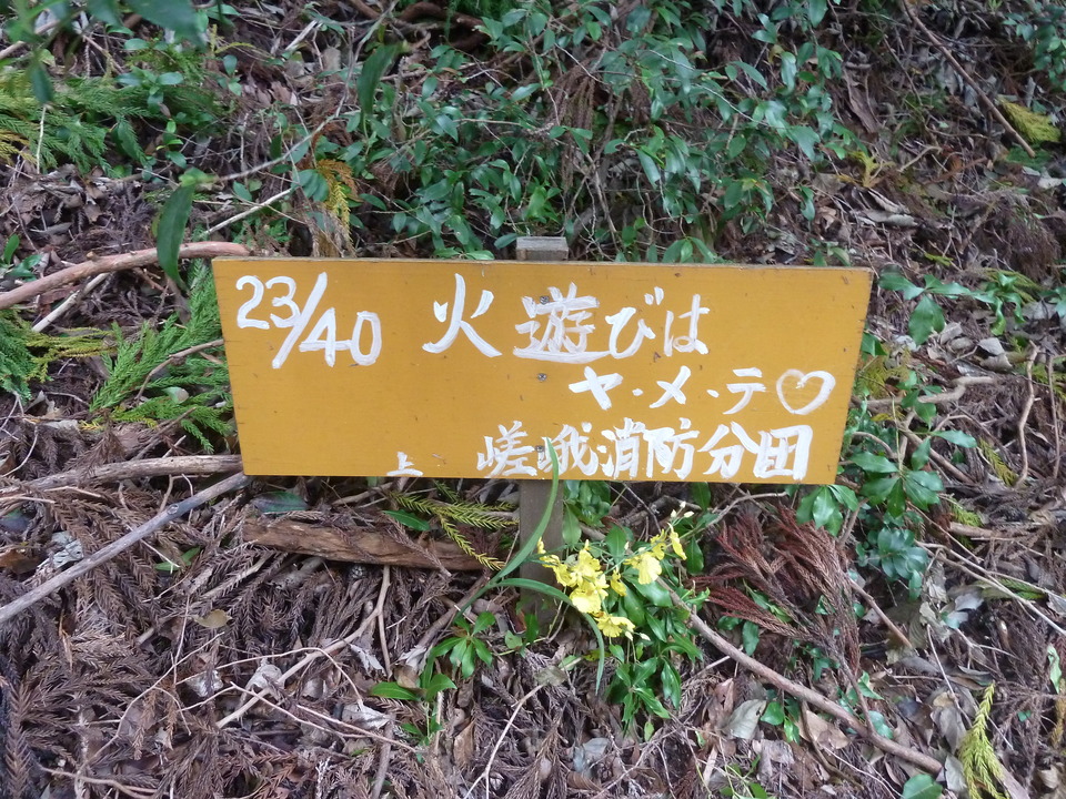 P1170544_mid.jpg
