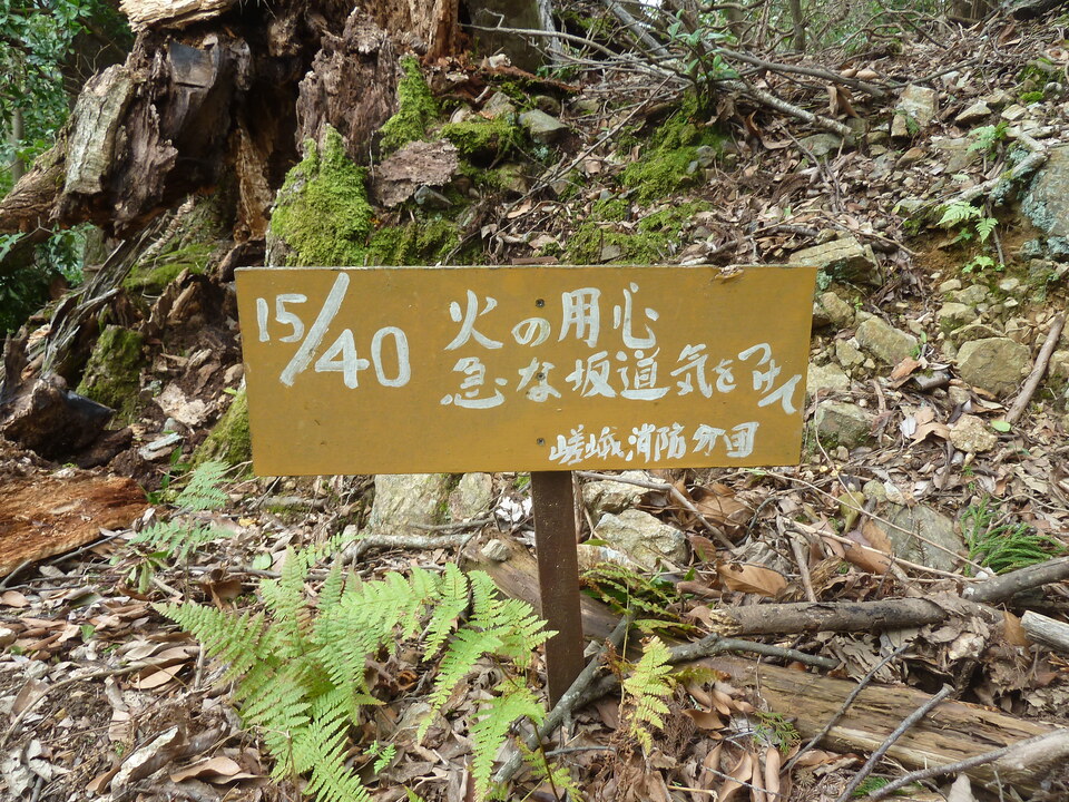 P1170563_mid.jpg