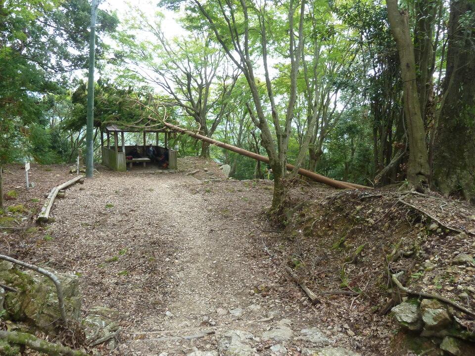 P1170566_mid.jpg