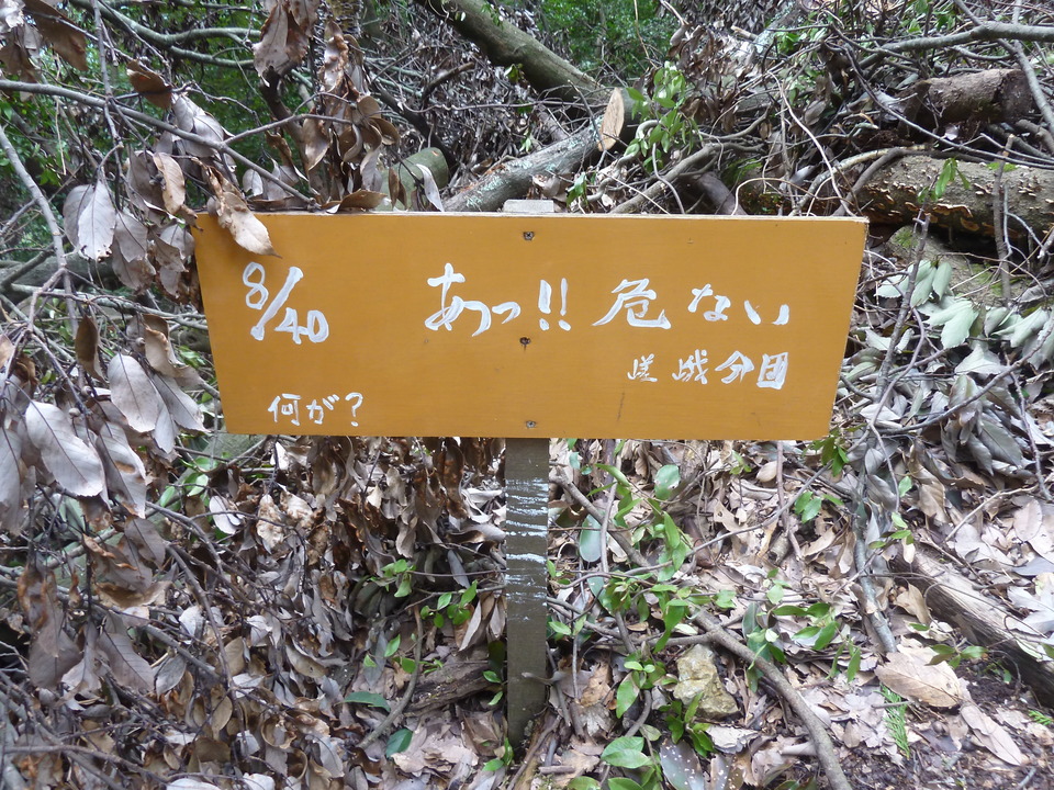 P1170574_mid.jpg