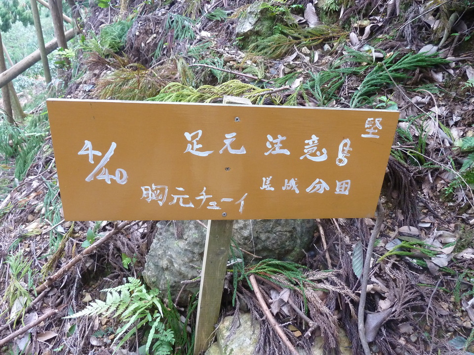 P1170582_mid.jpg