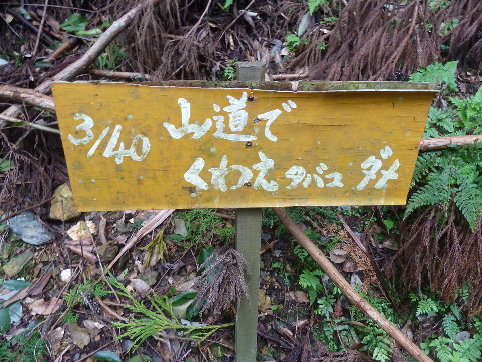 P1170584_mid.jpg