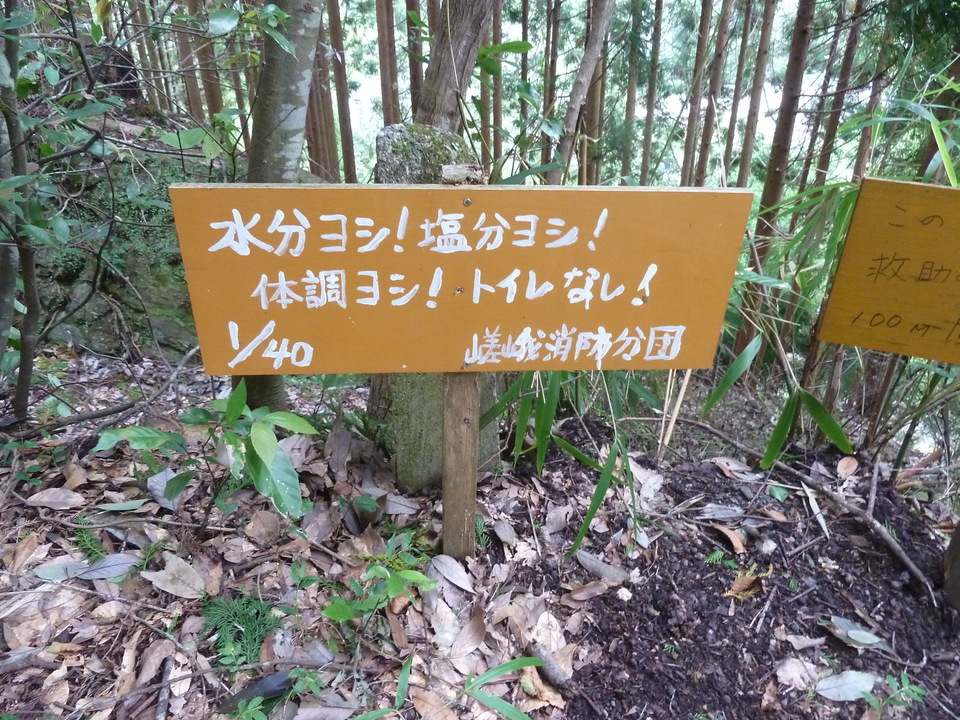 P1170588_mid.jpg