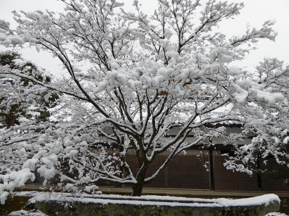 P1010180_mid.jpg