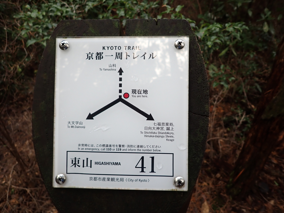 P2232793_mid.jpg