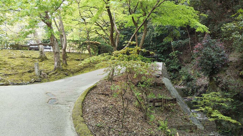 DSC_1368_mid.jpg