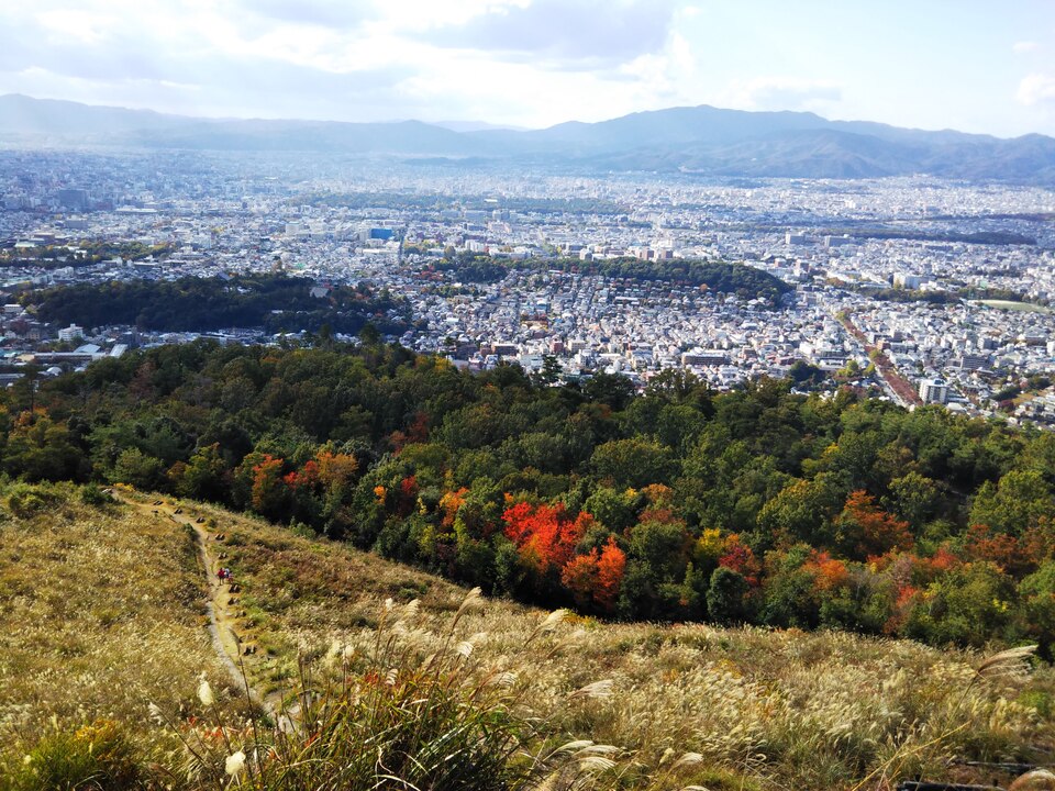 DSC_2000_mid.jpg
