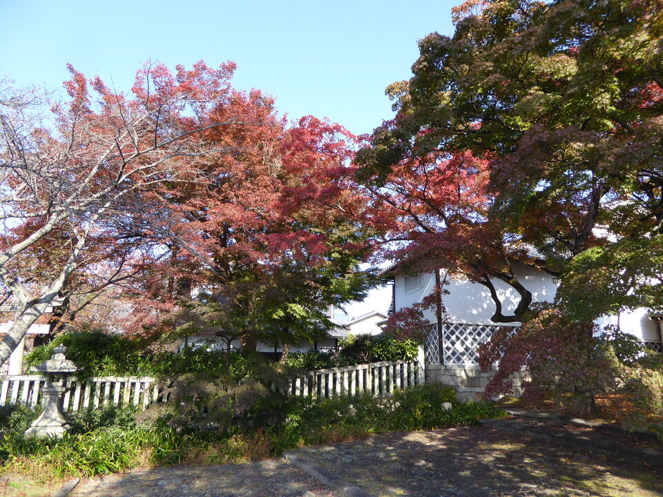 P1010959_mid.jpg