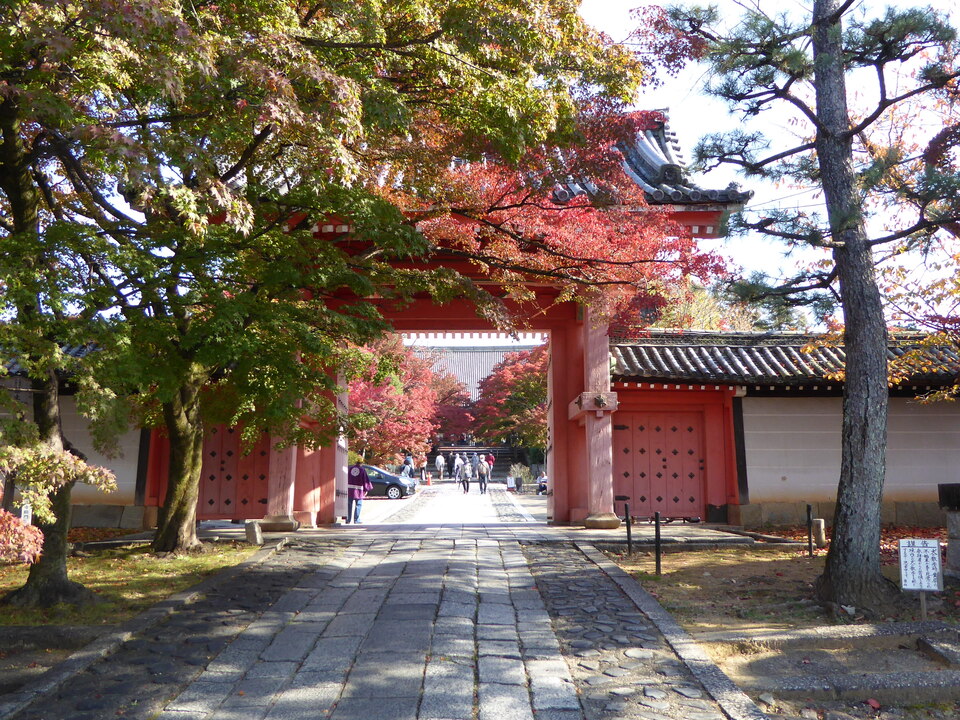 P1010960_mid.jpg