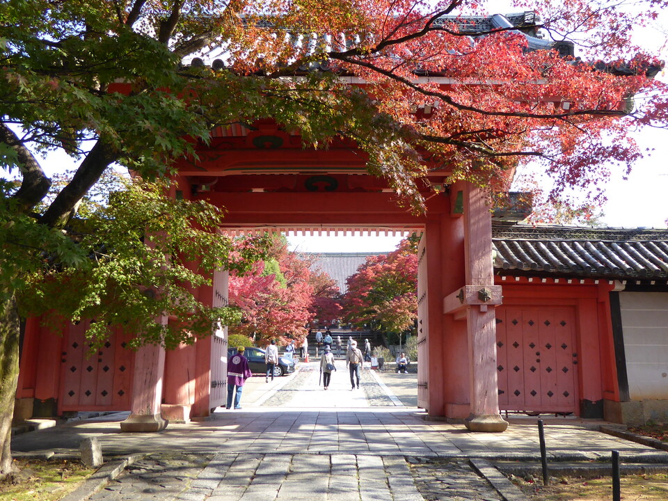 P1010961_mid.jpg