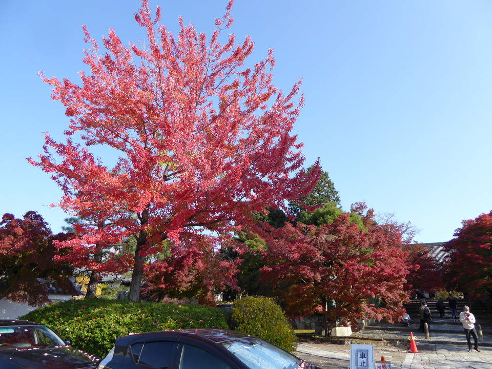 P1010963_mid.jpg