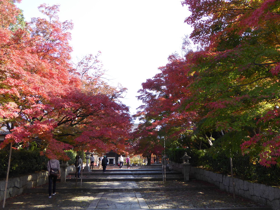 P1010966_mid.jpg