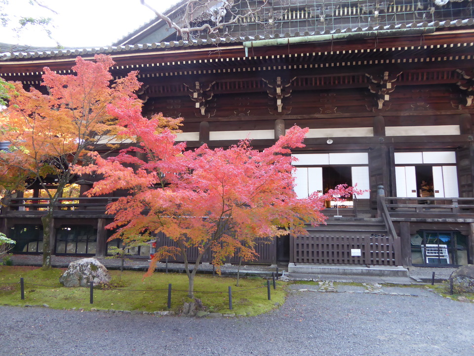 P1010982_mid.jpg