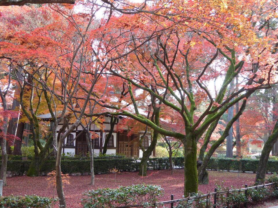 P1020044_mid.jpg