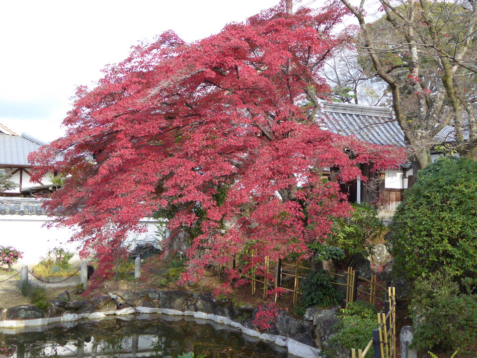 P1020062_mid.jpg