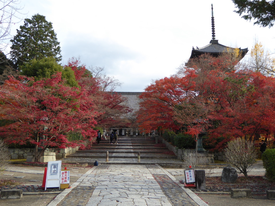 P1020097_mid.jpg