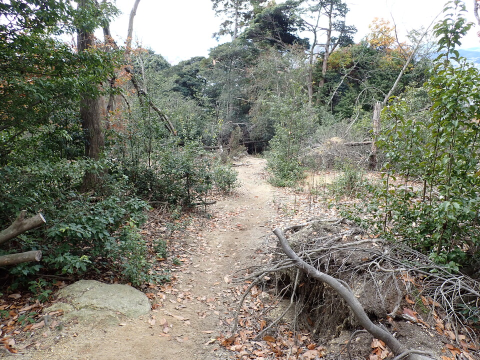 PC197912_mid.jpg