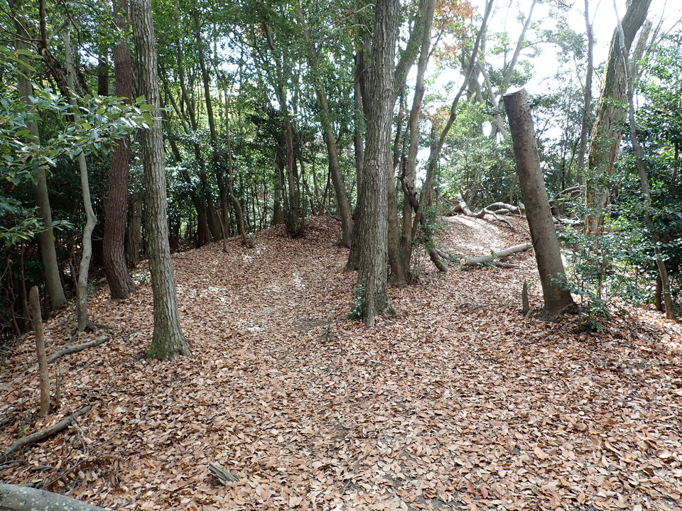 PC197944_mid.jpg