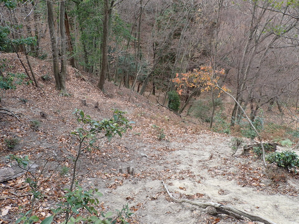 PC197985_mid.jpg
