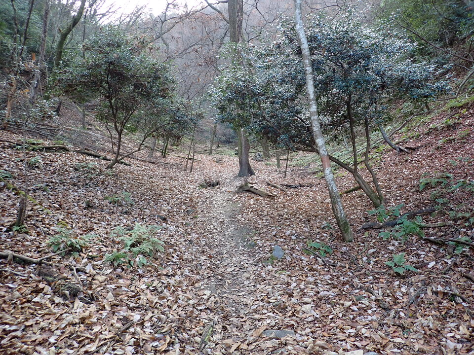 PC198050_mid.jpg