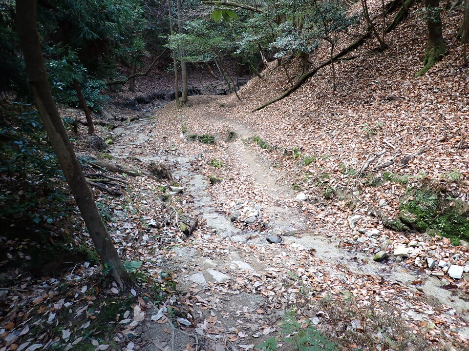 PC198070_mid.jpg