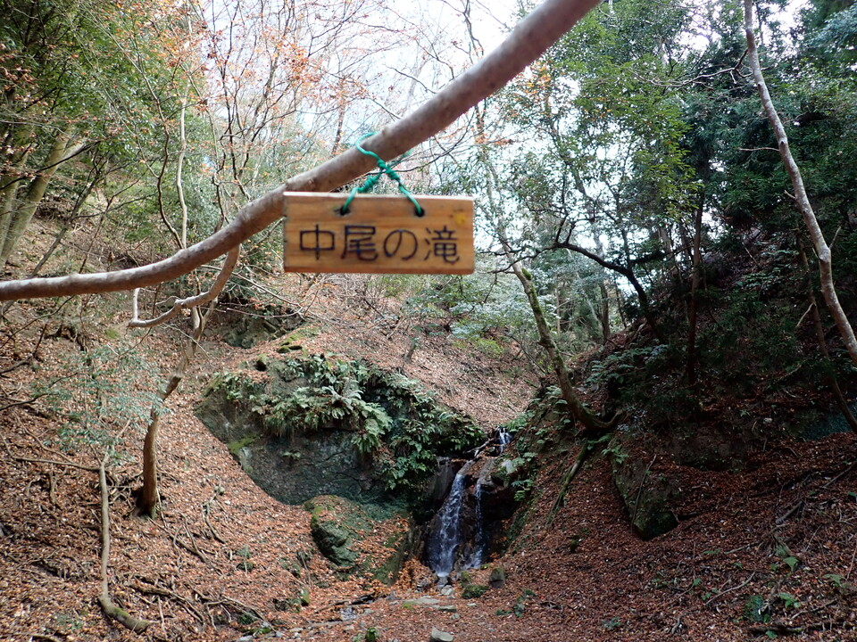 PC198088_mid.jpg