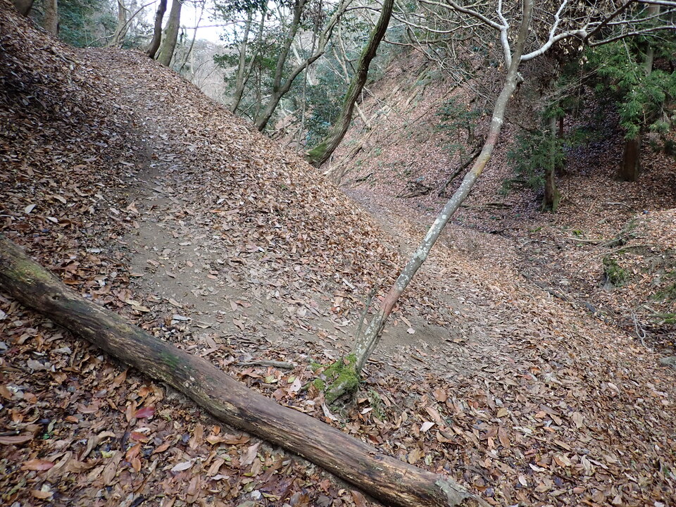 PC198092_mid.jpg