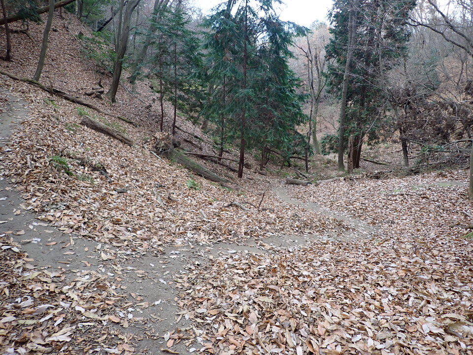 PC198126_mid.jpg