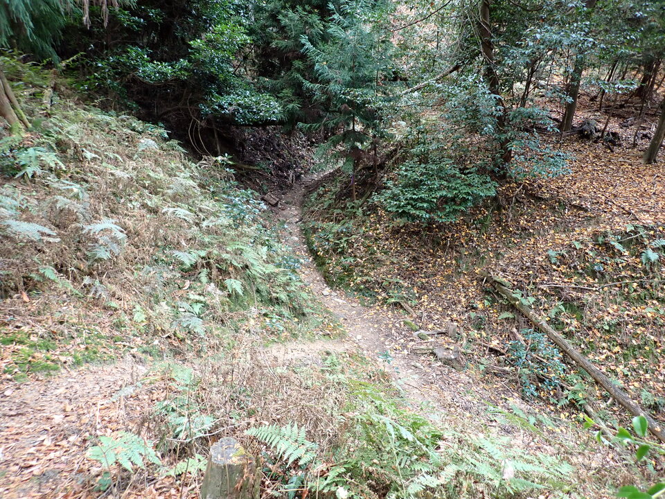 PC198148_mid.jpg