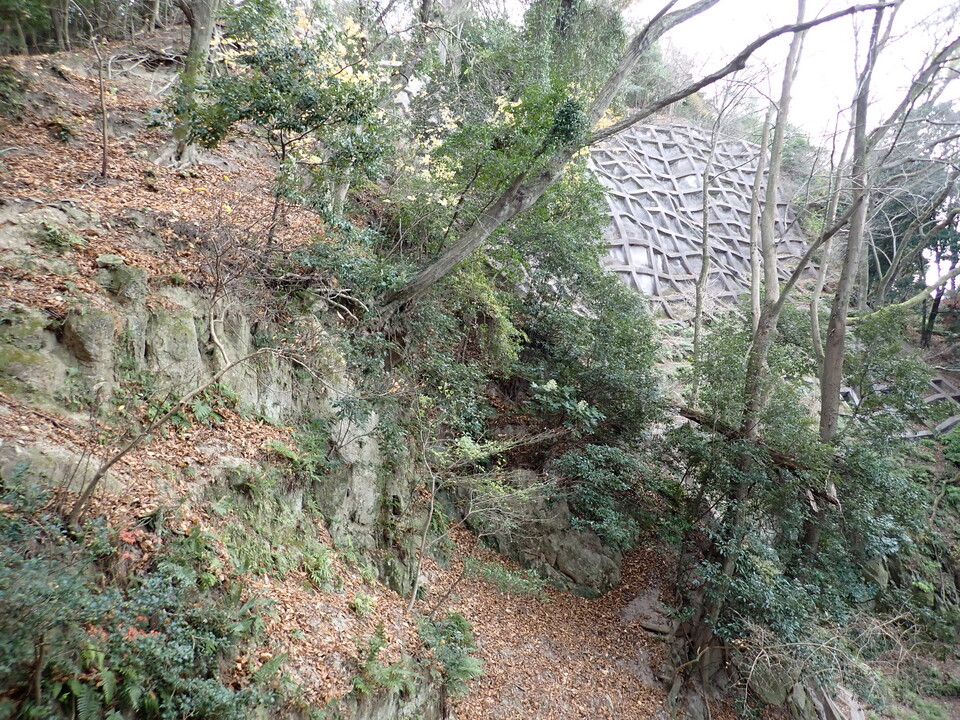 PC198157_mid.jpg
