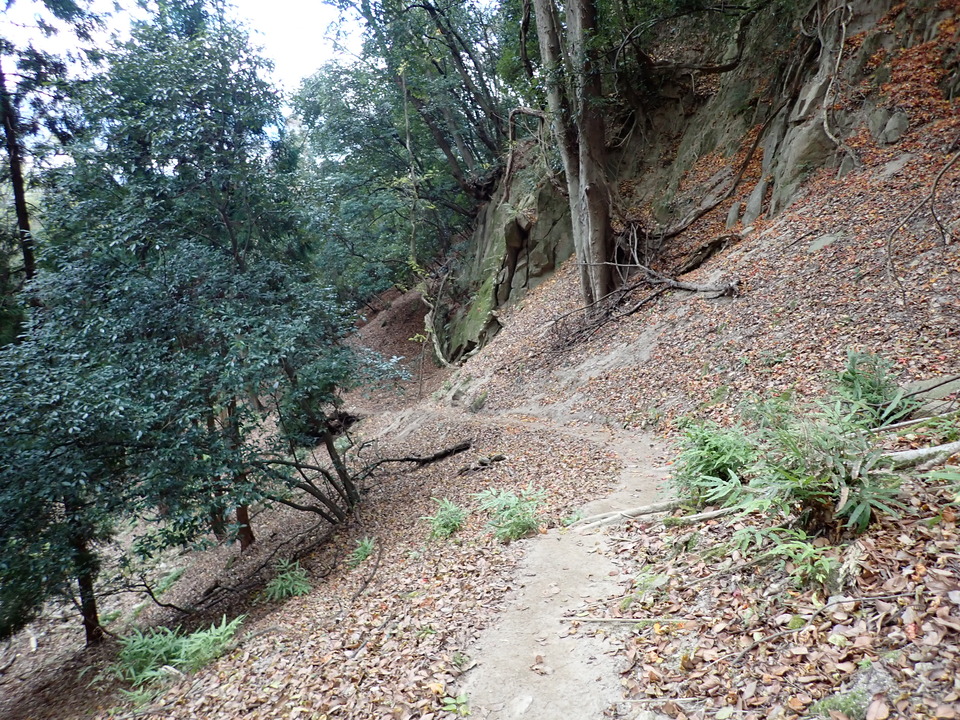 PC198162_mid.jpg