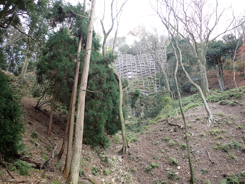 PC198167_mid.jpg