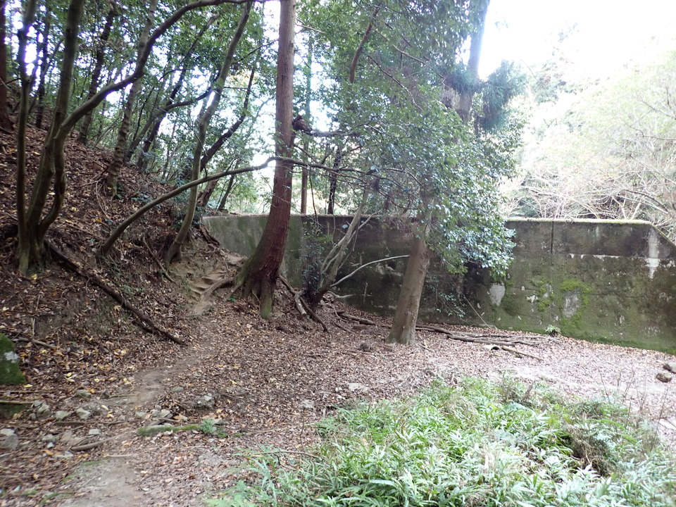PC198176_mid.jpg