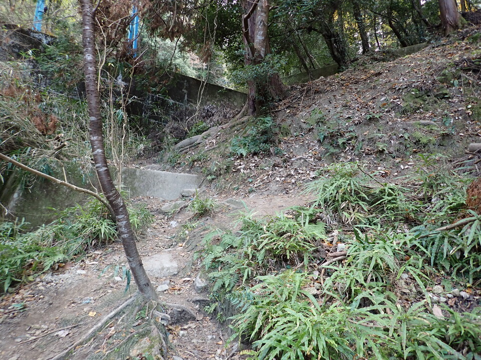 PC198179_mid.jpg